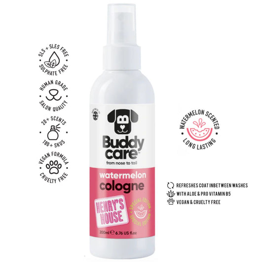 Buddy Care Cologne
